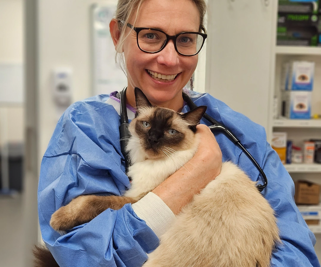 <h1>Pain Management – Jackson the dog</h1>